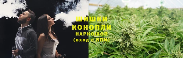 ПСИЛОЦИБИНОВЫЕ ГРИБЫ Белая Холуница