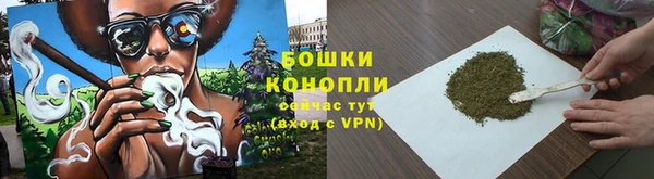 ПСИЛОЦИБИНОВЫЕ ГРИБЫ Белая Холуница