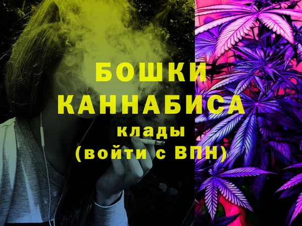 ПСИЛОЦИБИНОВЫЕ ГРИБЫ Белая Холуница