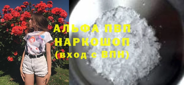ПСИЛОЦИБИНОВЫЕ ГРИБЫ Белая Холуница
