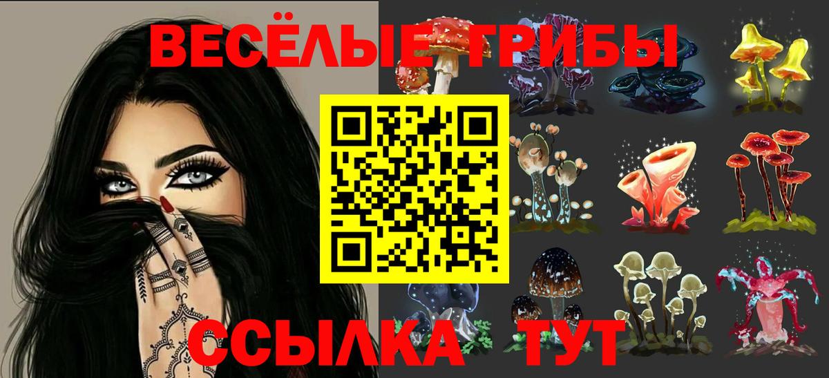 Псилоцибиновые грибы мухоморы  Вход с VPN  Зеленокумск 