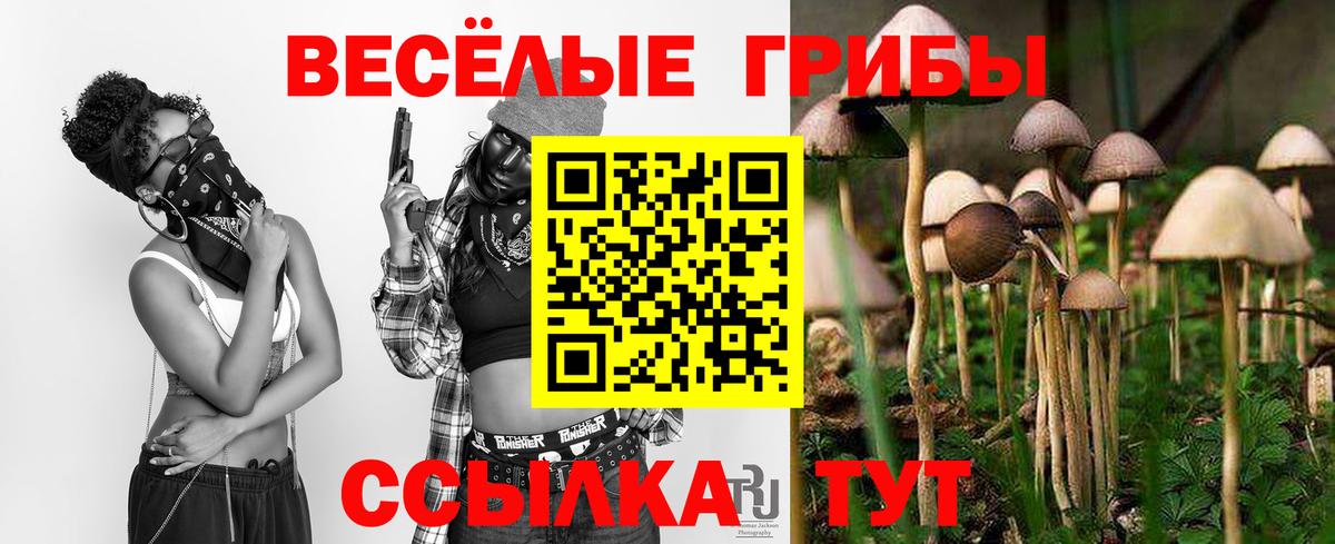Галлюциногенные грибы мицелий Зеленокумск